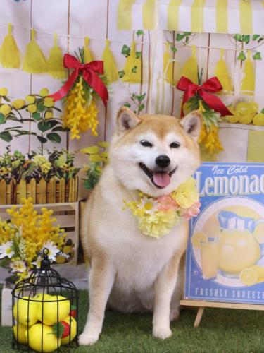 20240404初ちゃん